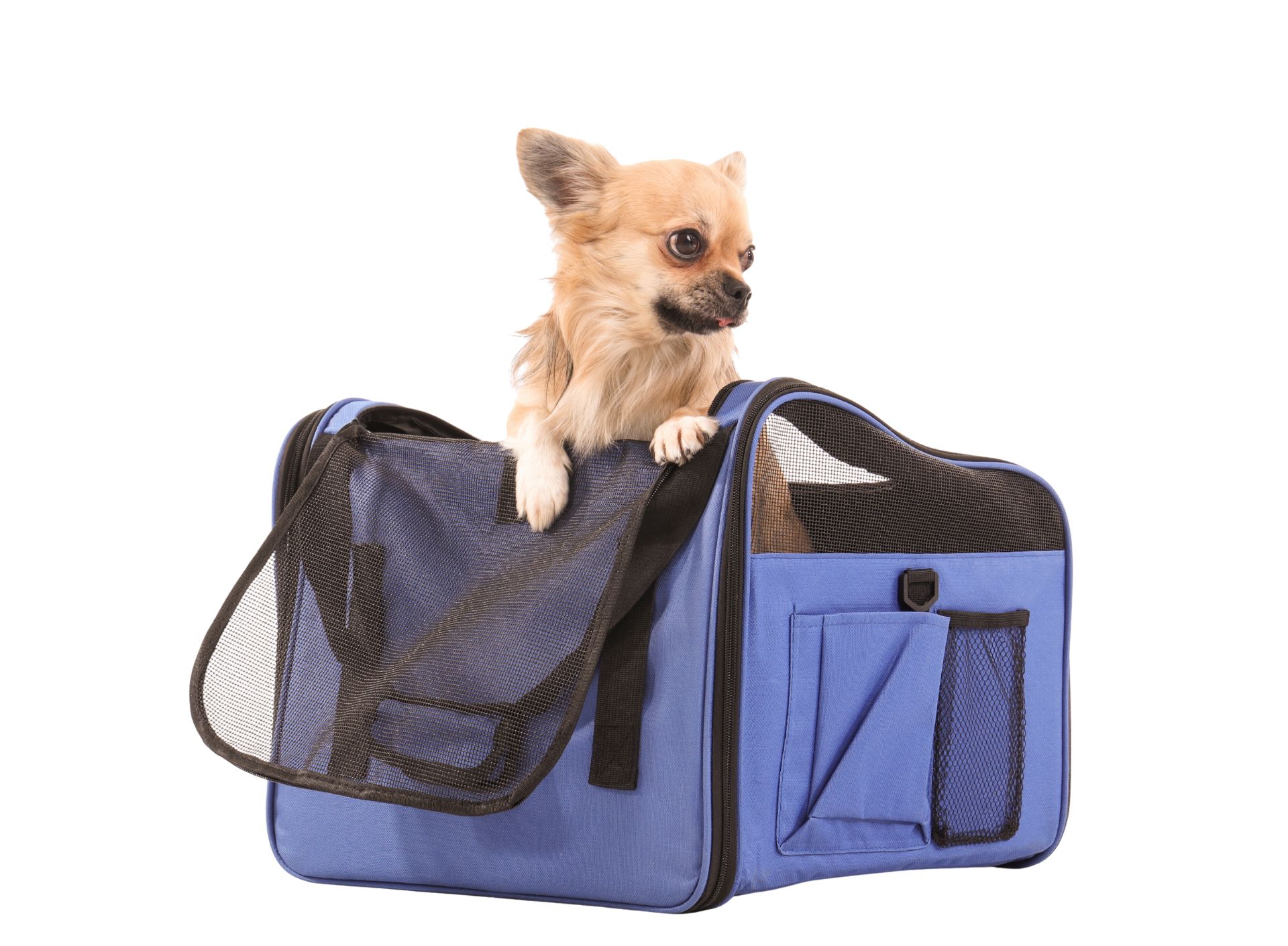 Acessórios Essenciais